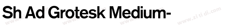 Sh Ad Grotesk Medium字体转换